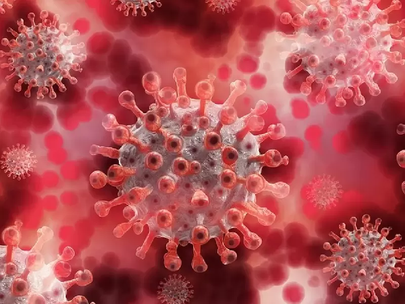 Baba Vanga predijo que llegará otro virus letal en 2022