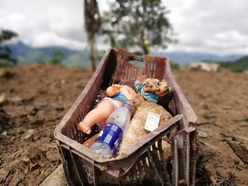 Menores Rosas, Cauca