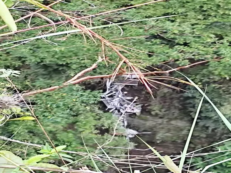 Buscan piloto de avioneta accidentada en Ibagué