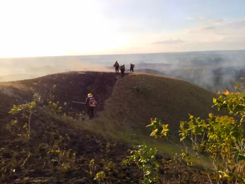 Incendio forestal en el Parque Nacional El Tuparro.