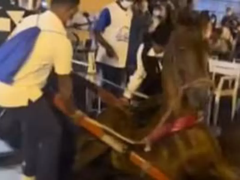 Indignación por nuevo caso de maltrato animal con un caballo en Cartagena