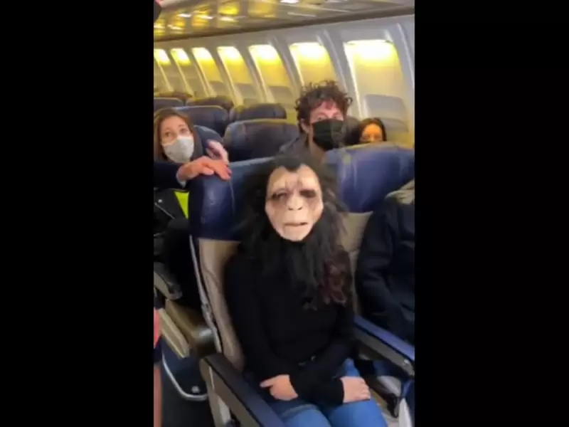 Historia tras el video viral de la mujer que usó una máscara de mono en vez de tapabocas en un avión Historia tras el video viral de la mujer que usó una máscara de mono en vez de tapabocas en un avión