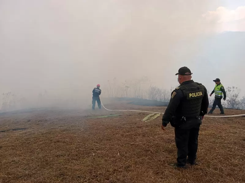 Por lo menos 50 hectáreas de terreno fueron destruidas.