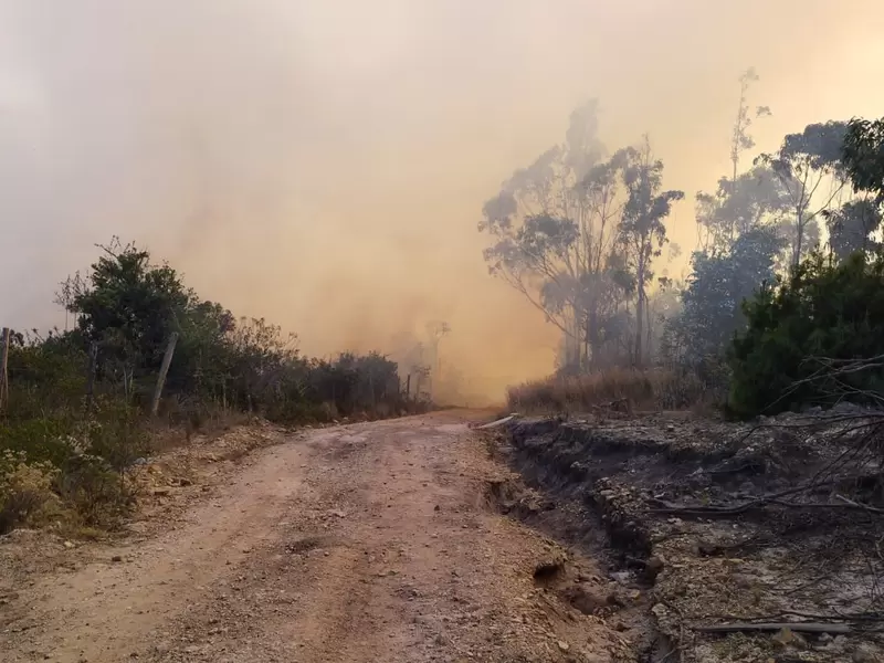 De acuerdo con los bomberos son 15 hectáreas afectadas hasta el momento