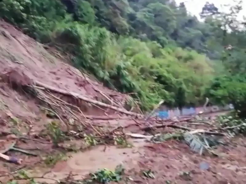 Referencia Deslizamientos de Tierra Risaralda