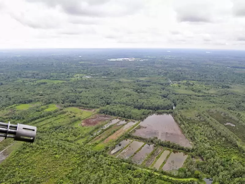 Zona de cultivos ilícitos en Tumaco (Nariño)