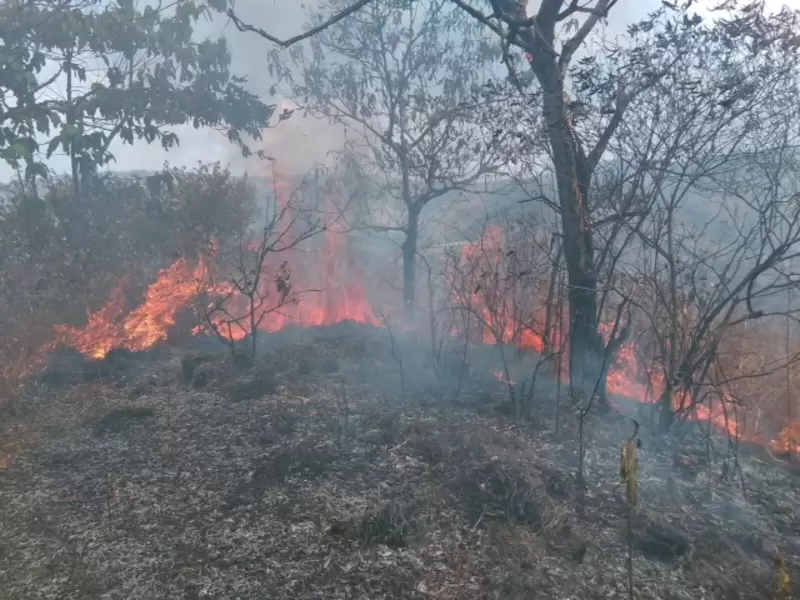 Incendios forestales en Antioquia (imagen referencial).