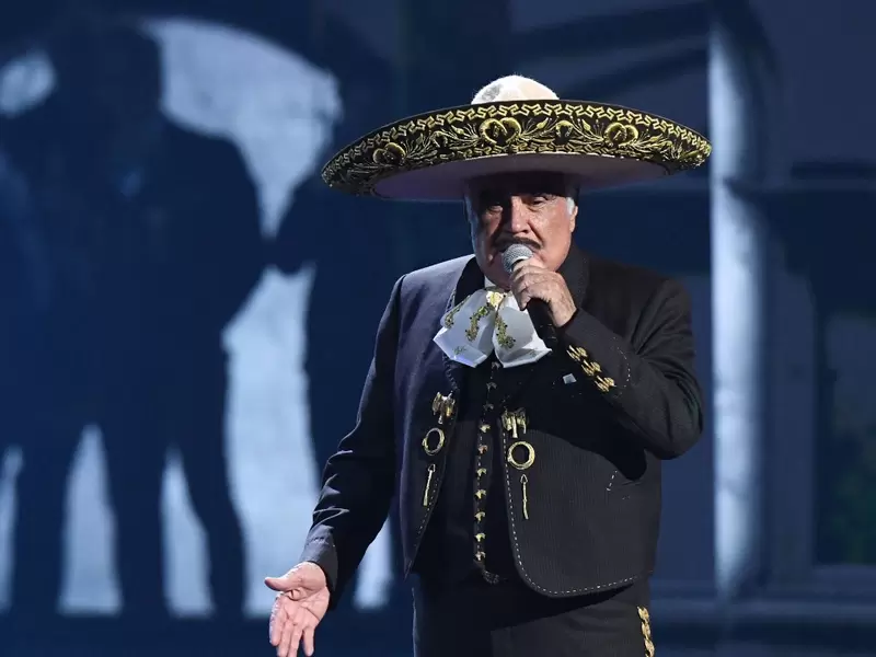 Vicente Fernández Vicente Fernández