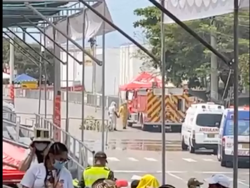 Ataque de abejas en desfile del Carnaval de Barranquilla