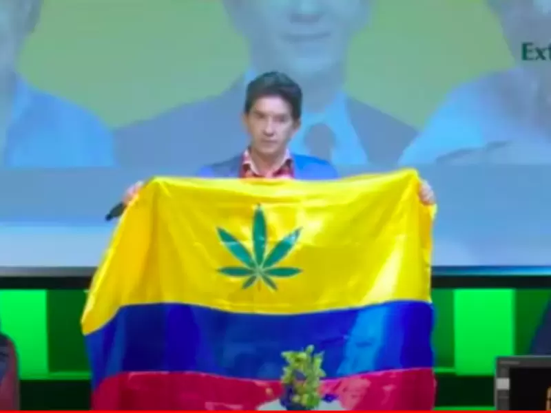 Luis Pérez hoja de cannabis