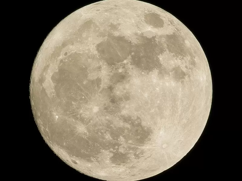 Luna Luna