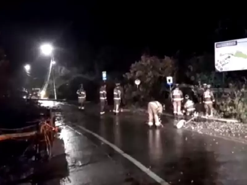 Cerrada por caída de árbol y postes