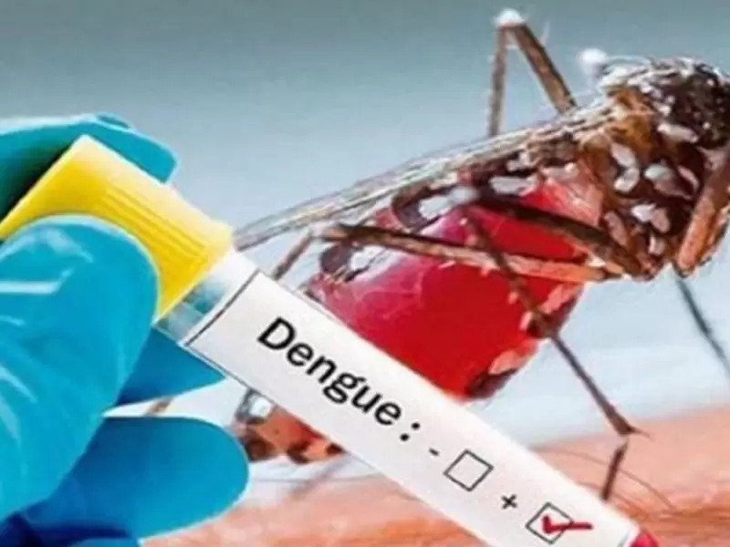 Mosquito transmisor del dengue, Aedes Aegypti