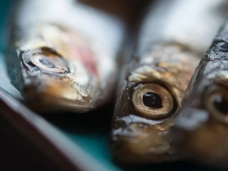 Pescados