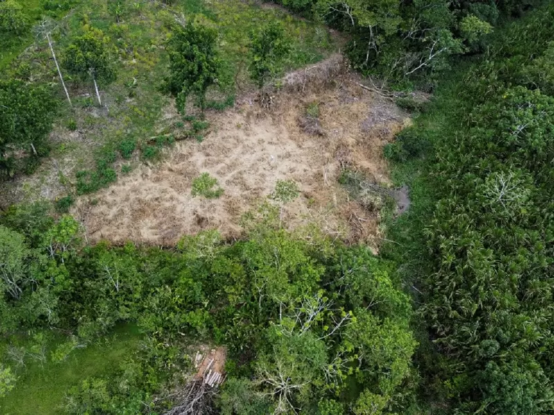 Deforestación en el amazonas / Amazonía / Amazonia.