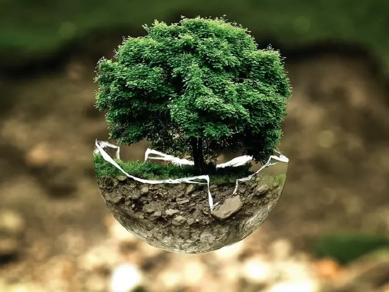 Medio ambiente Medio ambiente