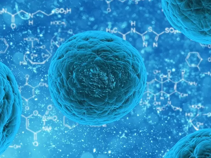 Célula cancerígena Célula cancerígena