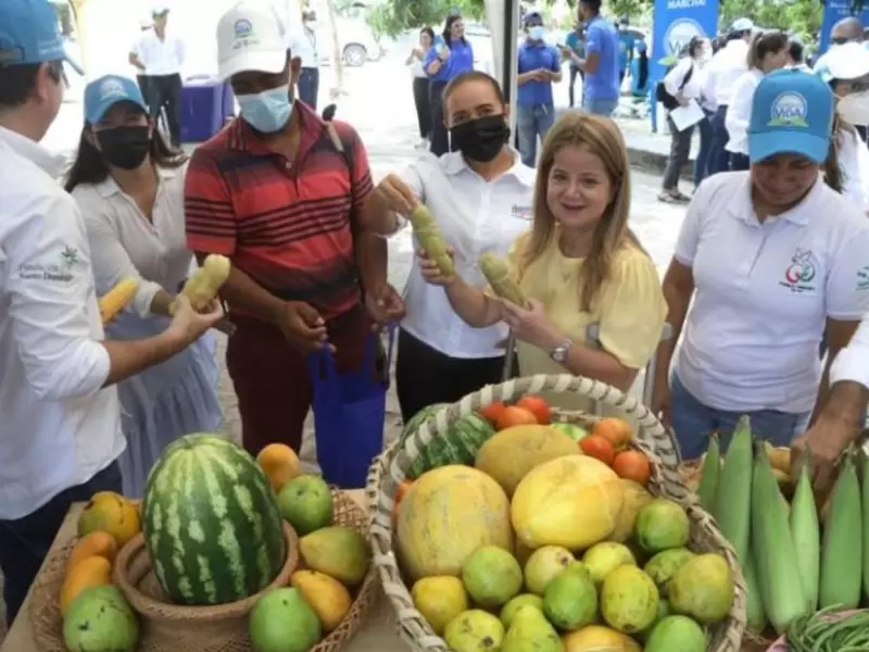Atlántico continúa apostándole a ser la nueva despensa de Colombia con el programa ‘Semillas de Vida’ Atlántico continúa apostándole a ser la nueva despensa de Colombia con el programa ‘Semillas de Vida’