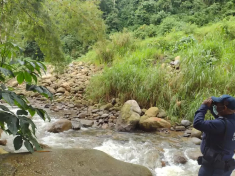 Río Suratá