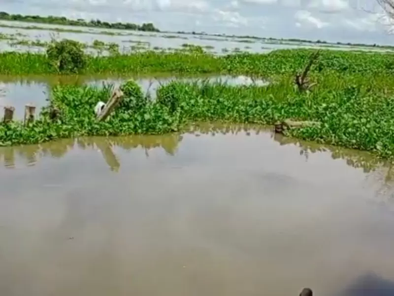 Inundaciones por desbordamiento del río Magdalena en Bolívar