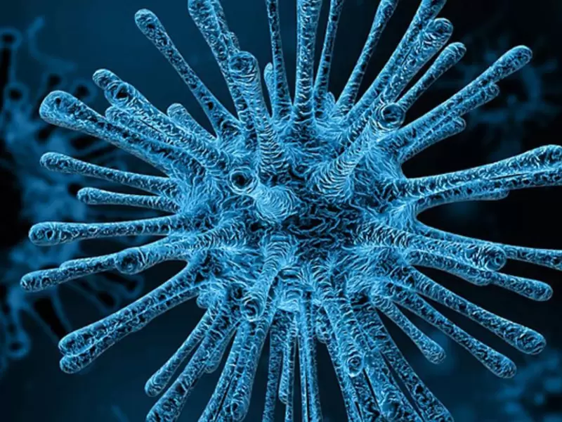 Henipavirus Henipavirus