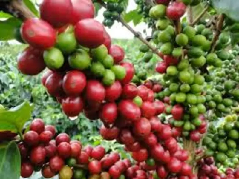 Las utilidades alcanzarán los 6.5 billones de pesos