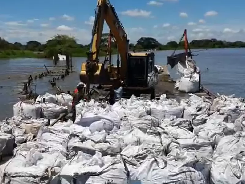 Terrenos considerados como humedales están inundados.