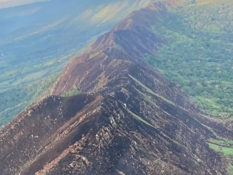Incendio forestal en Melgar, Tolima.