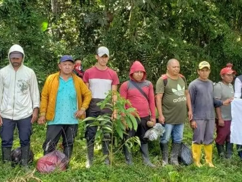 ELN, liberación, secuestrados, Arauca