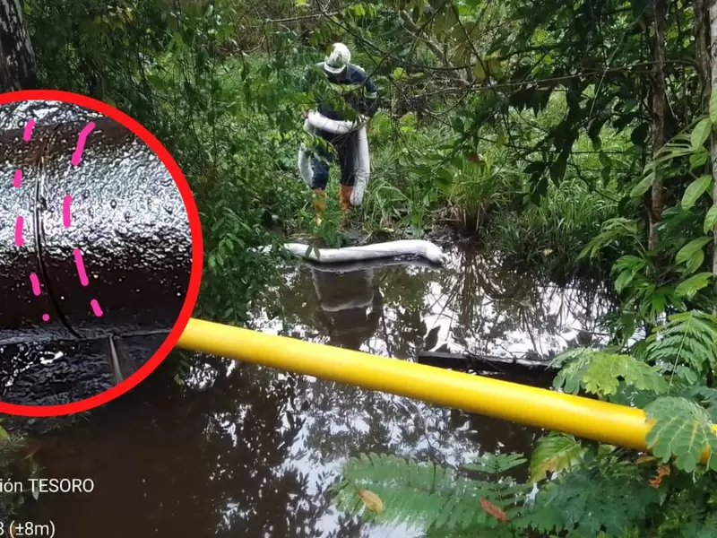 Emergencia ambiental en La Lizama