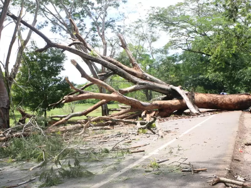 Bloqueos en vía a la Costa Atlántica