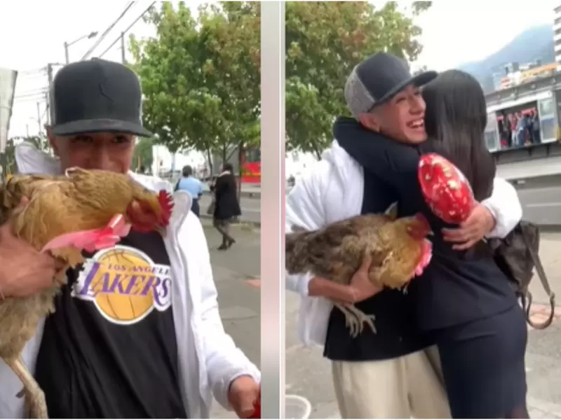 Hombre sorprendió a su novia regalándole una gallina de amor y amistad Hombre sorprendió a su novia regalándole una gallina de amor y amistad