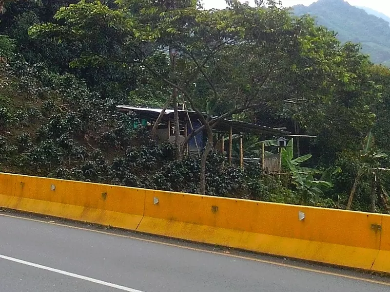 VIVIENDAS SUBNORMALES LA LÍNEA