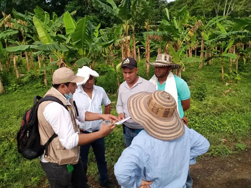 Las tierras fueron despojadas por paramilitares .