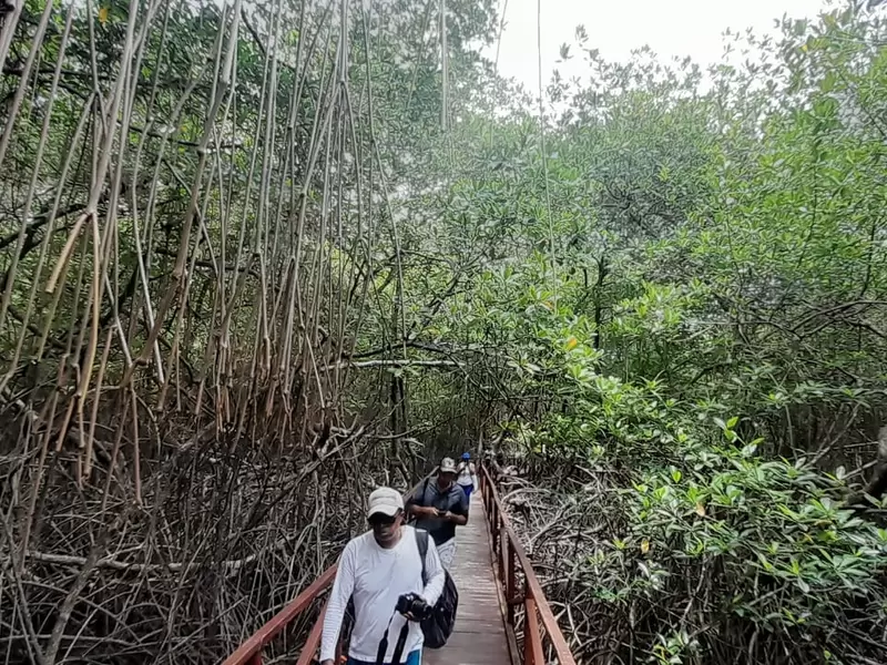 Sapzurro, Chocó
