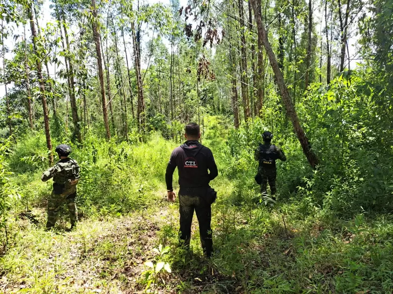 Predios de alias Monoleche en Urabá