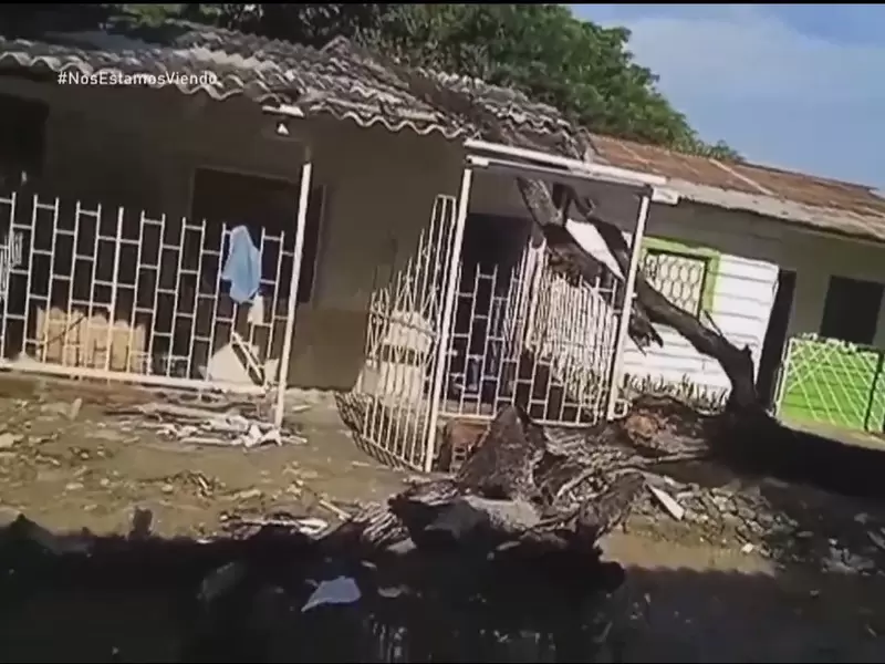 Árbol cayó sobre vivienda e hirió a una joven.