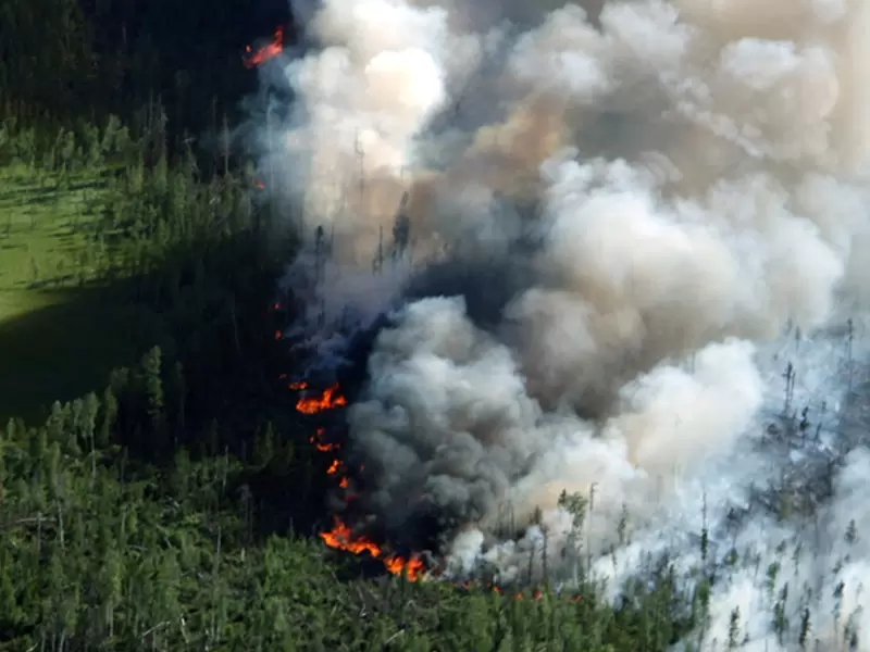 Incendio forestal - desastre natural