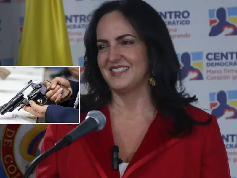 María Fernanda Cabal insiste en el porte legal de armas para la legítima defensa María Fernanda Cabal insiste en el porte legal de armas para la legítima defensa