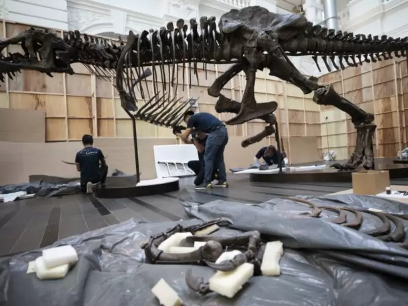 Tiranosaurio rex, "Shen-The T.rex" Tiranosaurio rex, "Shen-The T.rex"