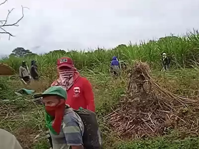 Invasión predios Cauca