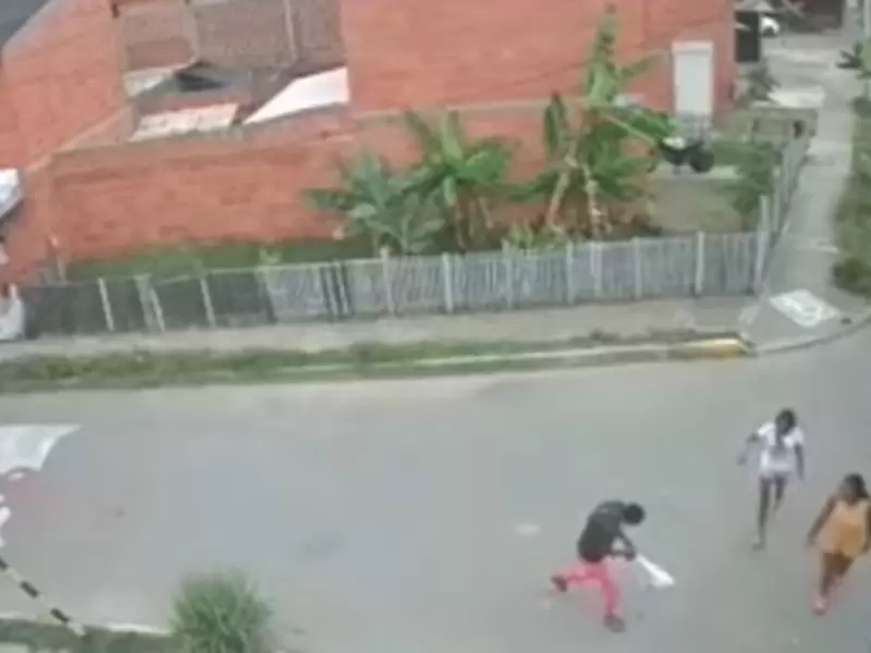 Metieron el gato en un costal y lo torturaron