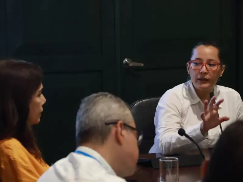 Viceministra de Energía, Belizza Ruiz