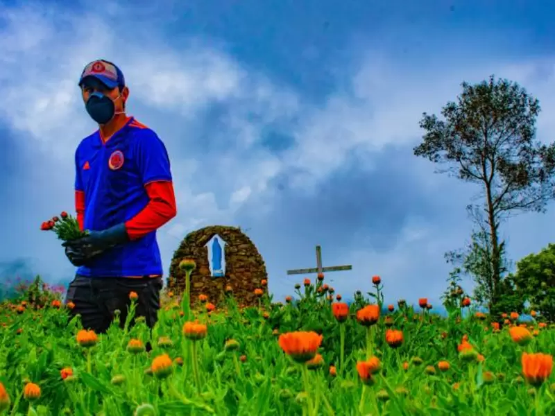 Con festival de aromáticas, Chipaque cautivará a miles de visitantes.