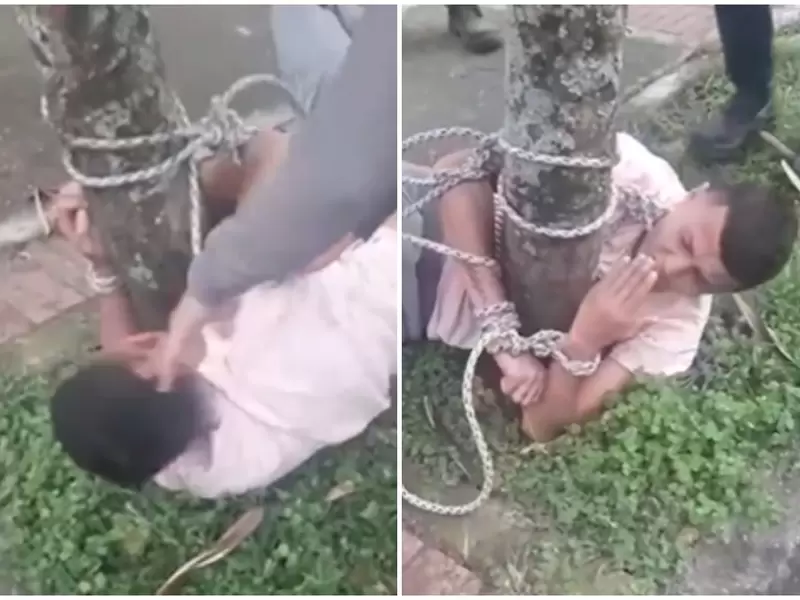 Ladrón fue amarrado a un árbol y lo cogieron a calvazos en Ibagué