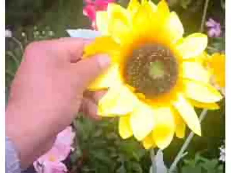 Jardín Botánico de Bogotá tiene matas de plástico Jardín Botánico de Bogotá tiene matas de plástico