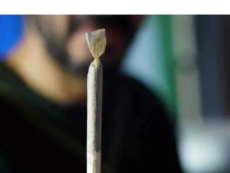 Marihuana con fines recreativos: Lo que piensan los colombianos Marihuana con fines recreativos: Lo que piensan los colombianos