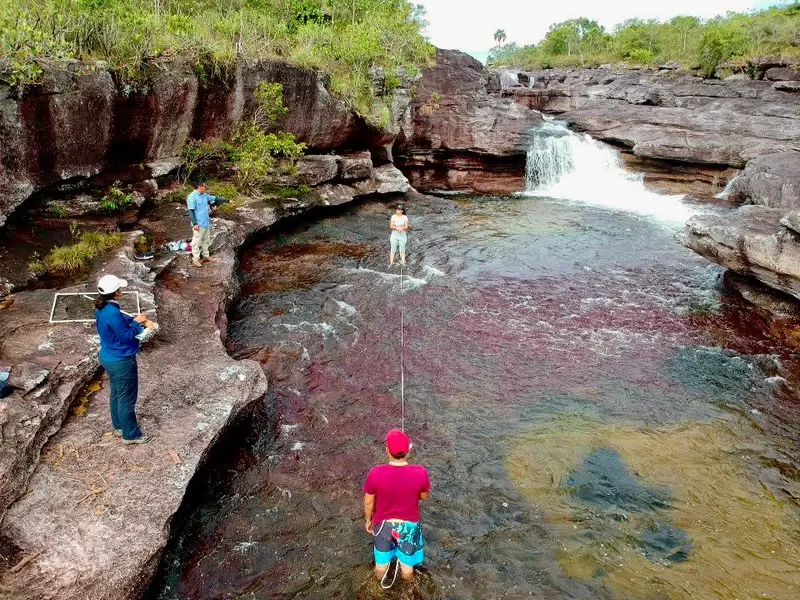 Caño Cristales