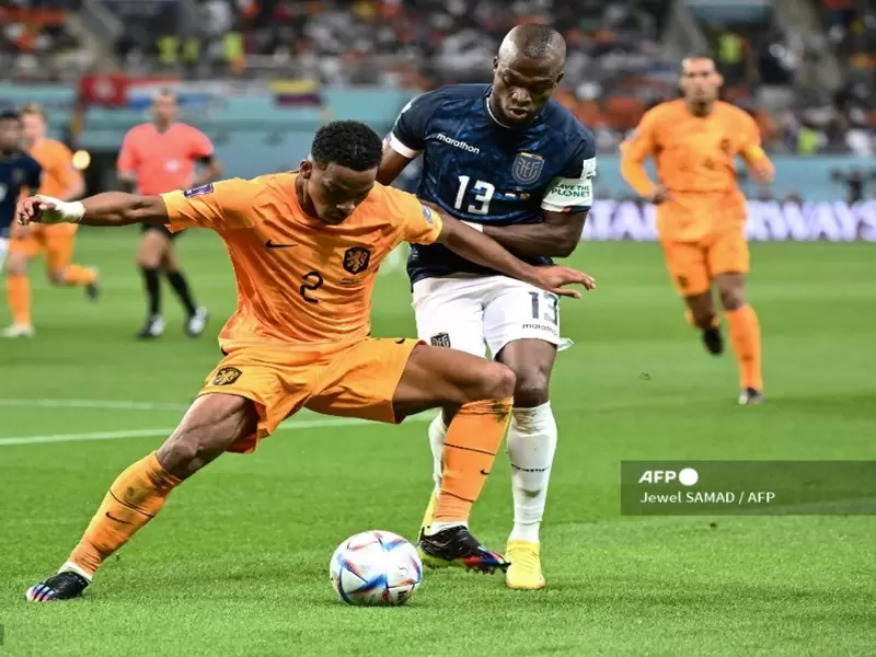Países Bajos vs Ecuador: Enner Valencia fue figura Países Bajos vs Ecuador: Enner Valencia fue figura