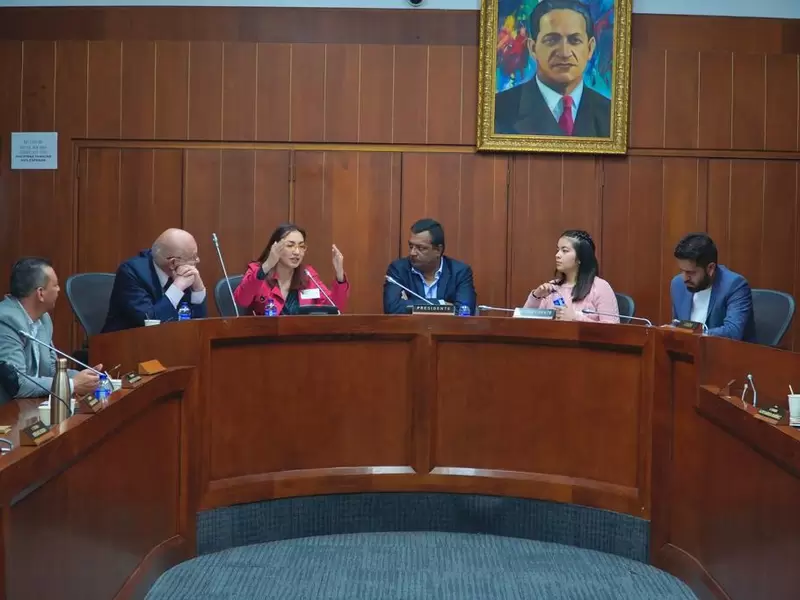 La audiencia pública se realizó en la Comisión Séptima del Senado.
